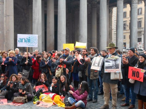 11/01/2014 - 500 NO al MIBACT, Manifestazione Nazionale a Roma.